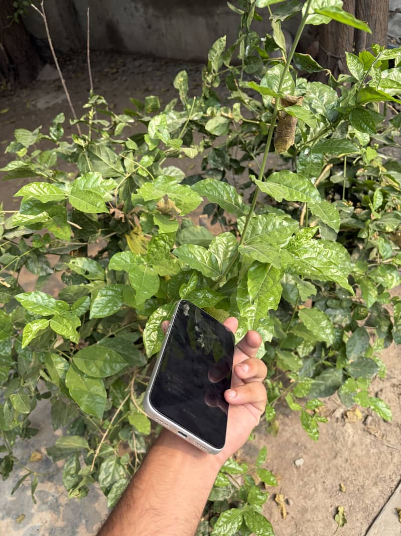 Apple iPhone 17 Pro Max 1