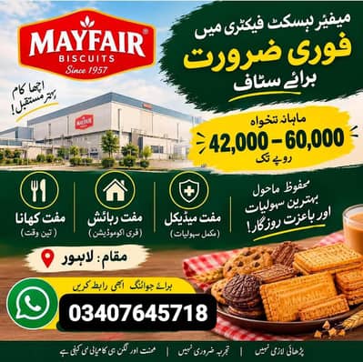 Urgent Packing Staff needed in Mayfair biscuit factory male and female