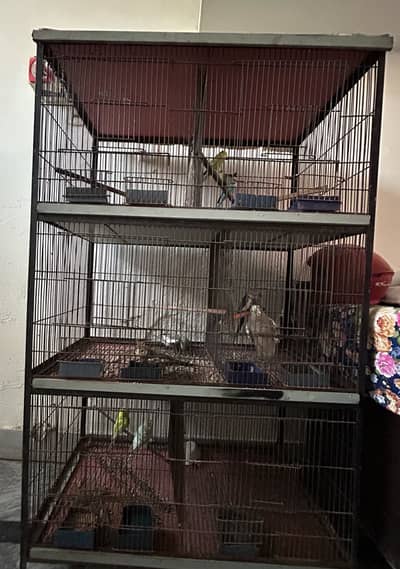 6 portions Parrots Cage