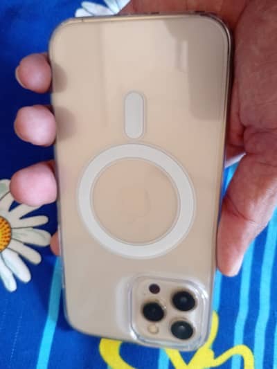 Apple iPhone 12 Pro Max PTA approved