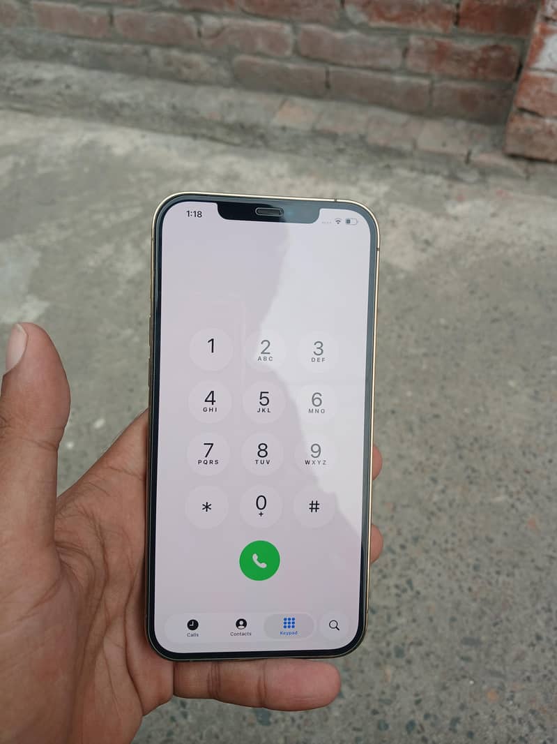 Apple iPhone 12 Pro Max 1
