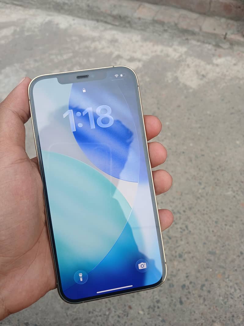 Apple iPhone 12 Pro Max 2