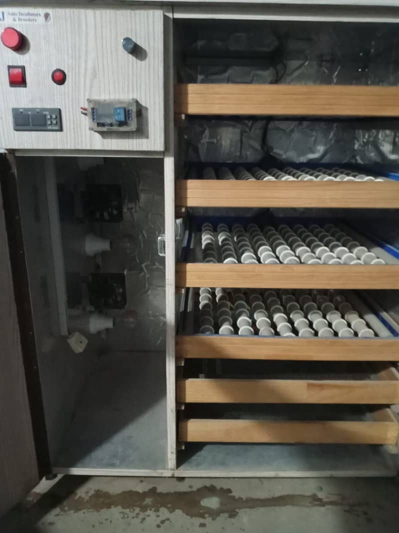 Fully auto incubator 1