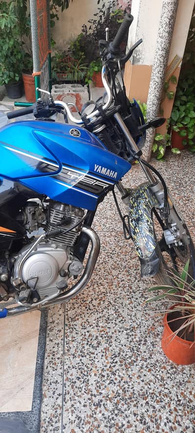 ybr 125