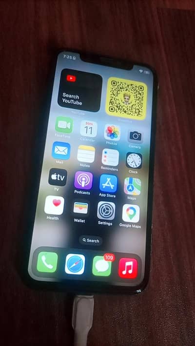 Apple iPhone X