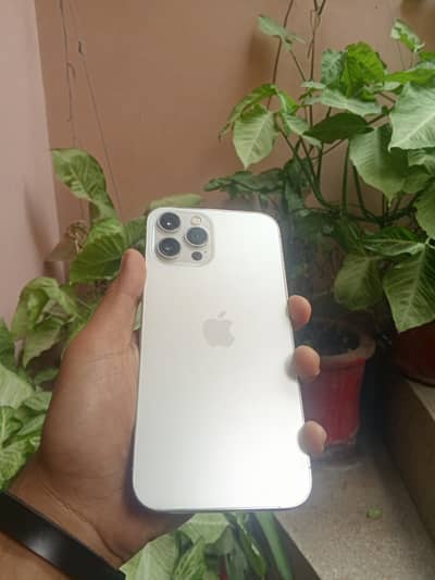 Apple iPhone 12 Pro Max dual pta approved 128gb all ok
