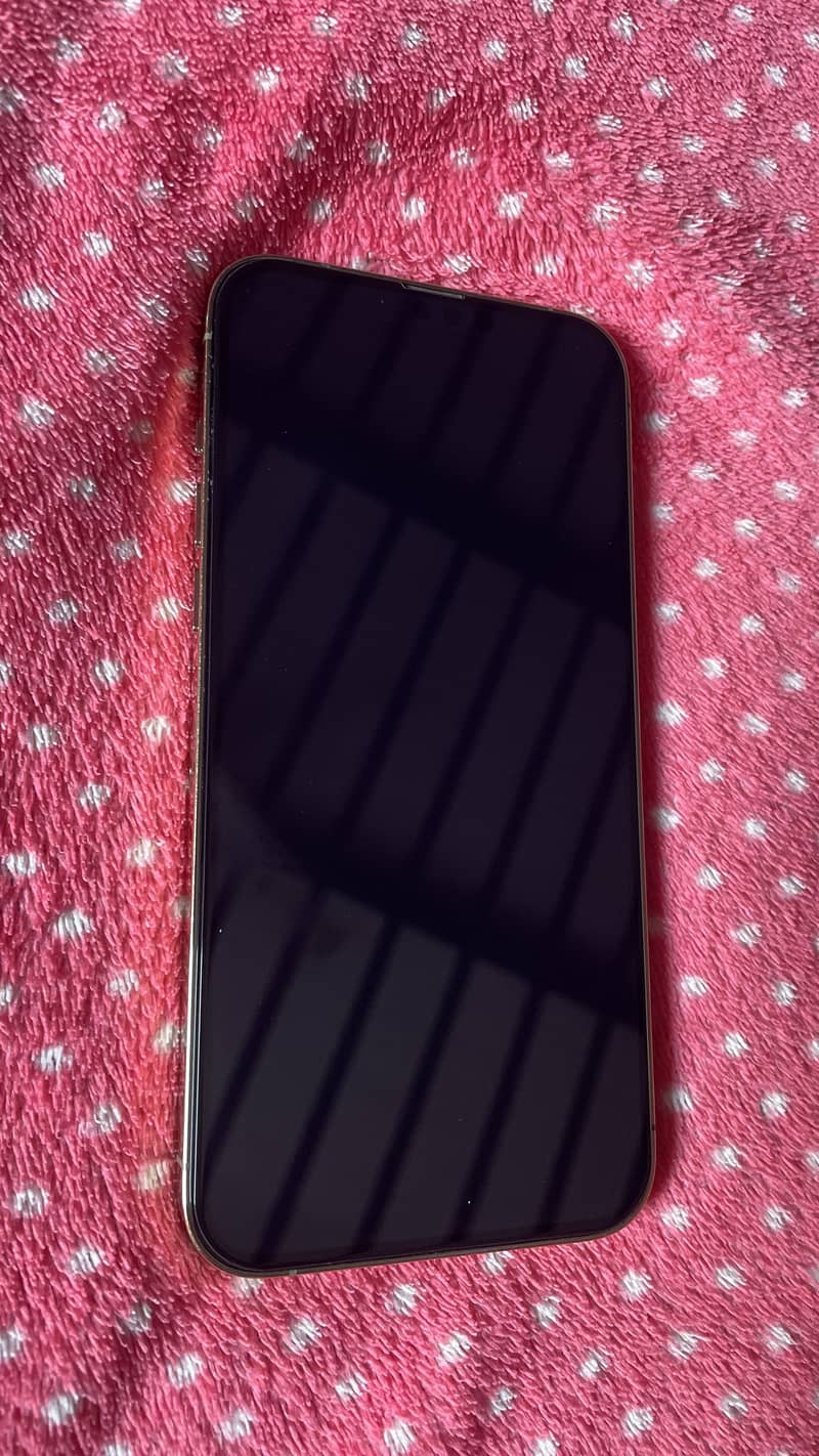 Apple iPhone 13 Pro Max 1