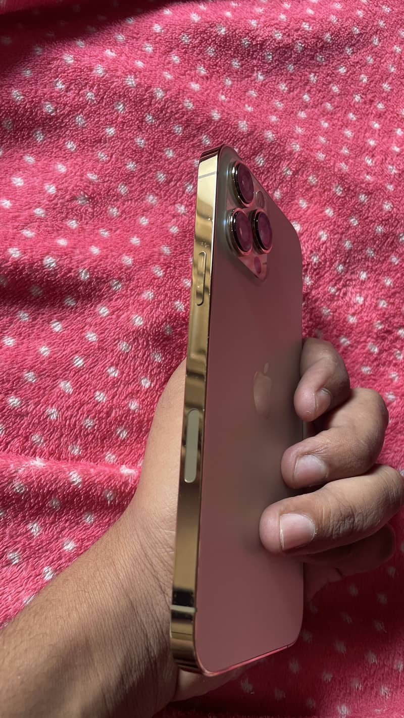 Apple iPhone 13 Pro Max 2
