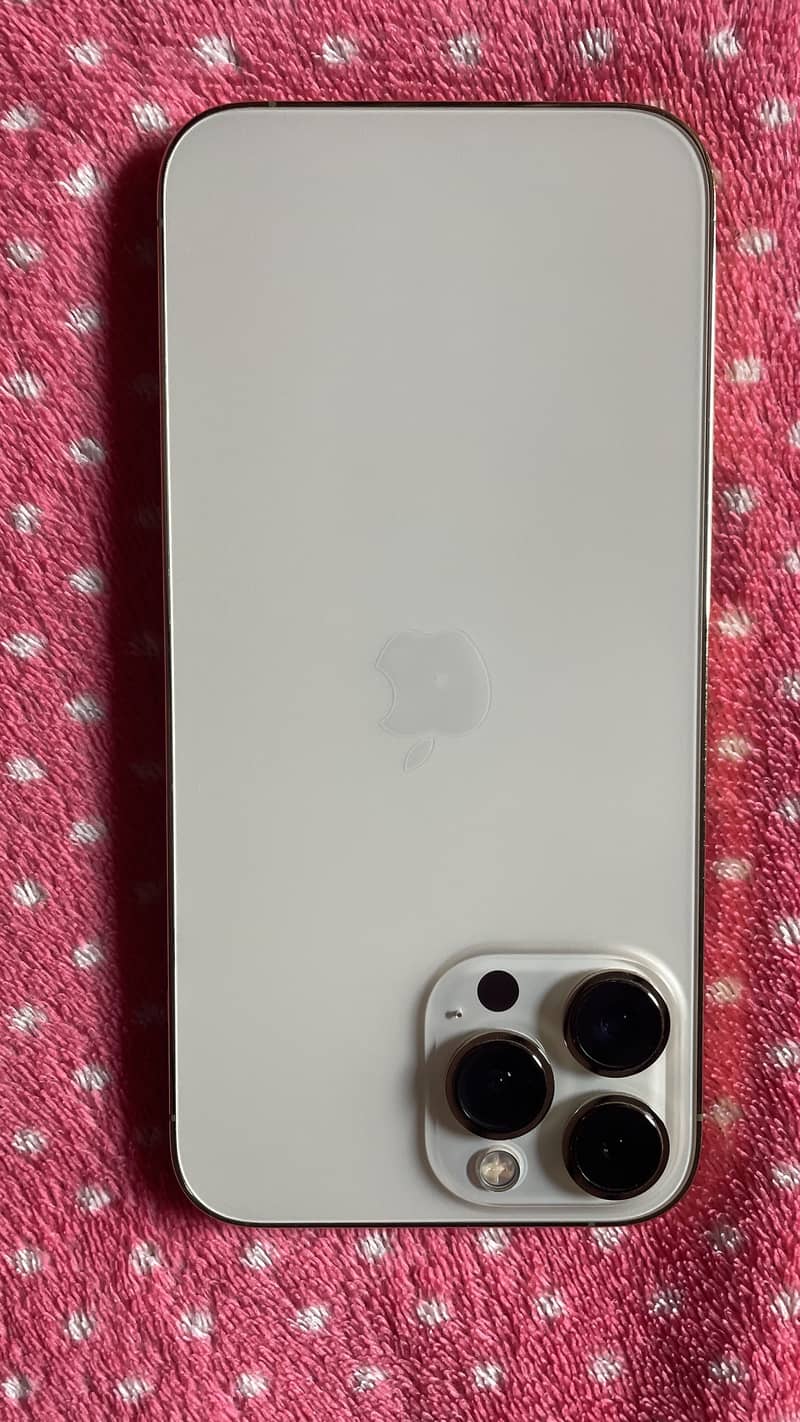 Apple iPhone 13 Pro Max 3