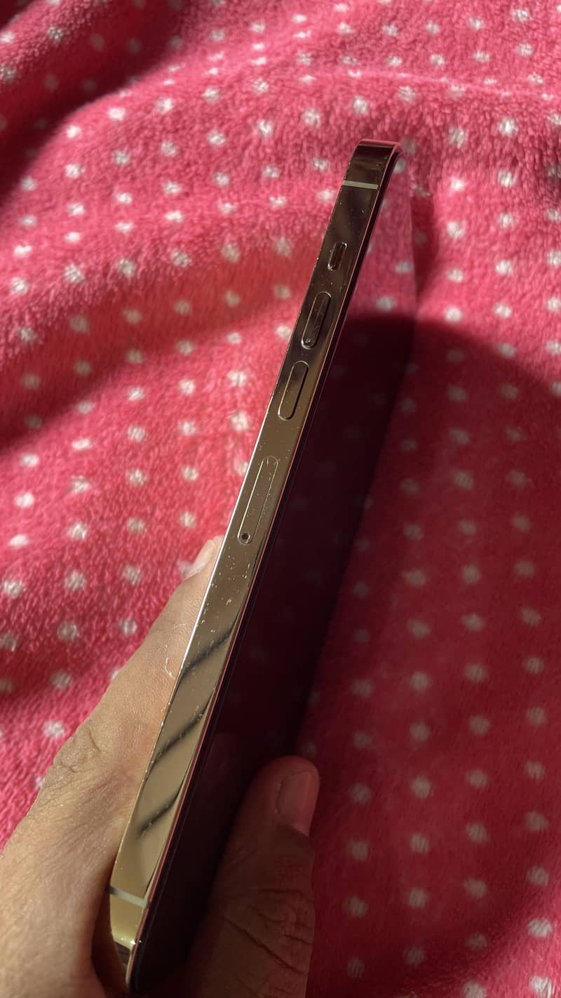 Apple iPhone 13 Pro Max 4