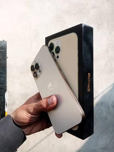 Apple iPhone 13 Pro Max non pta