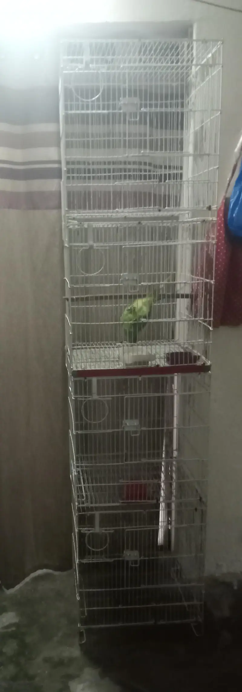 folding tower cage — photo 2