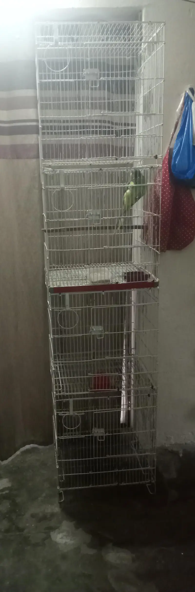folding tower cage — photo 3