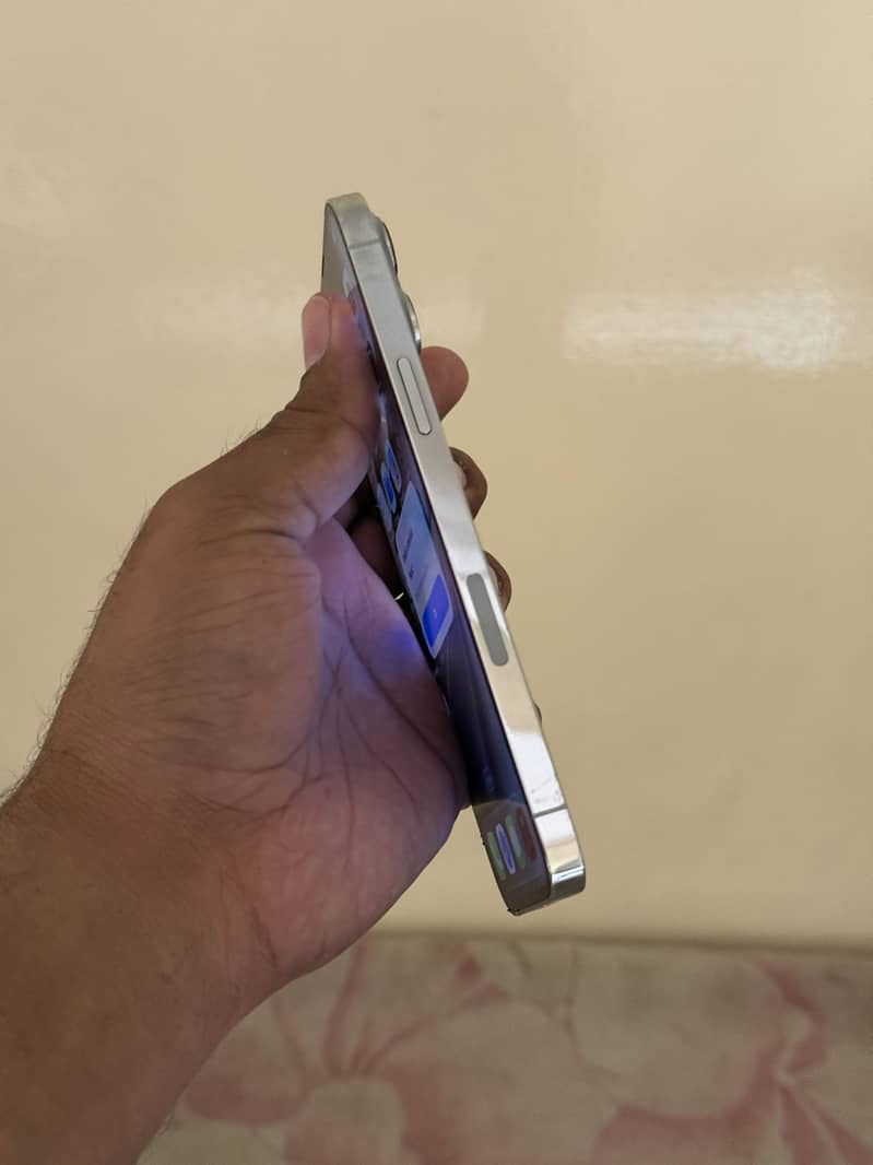 Apple iPhone 13 Pro Max 3