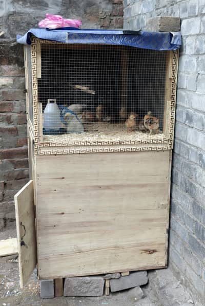 Chicken Cage 2 / Floor