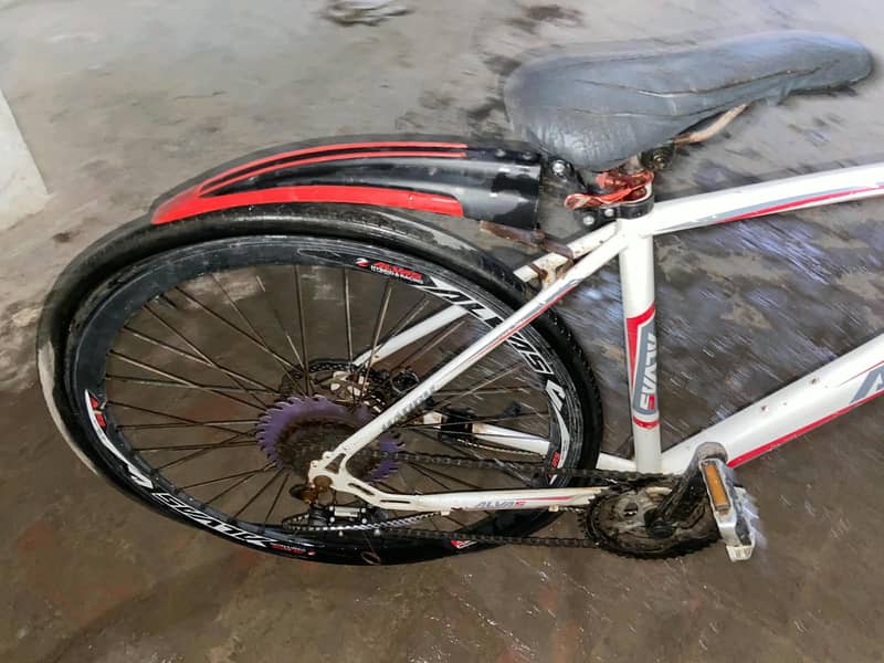 Racer cycle 3