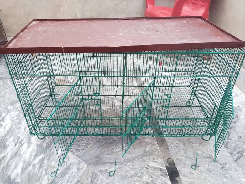 Birds Cage 0