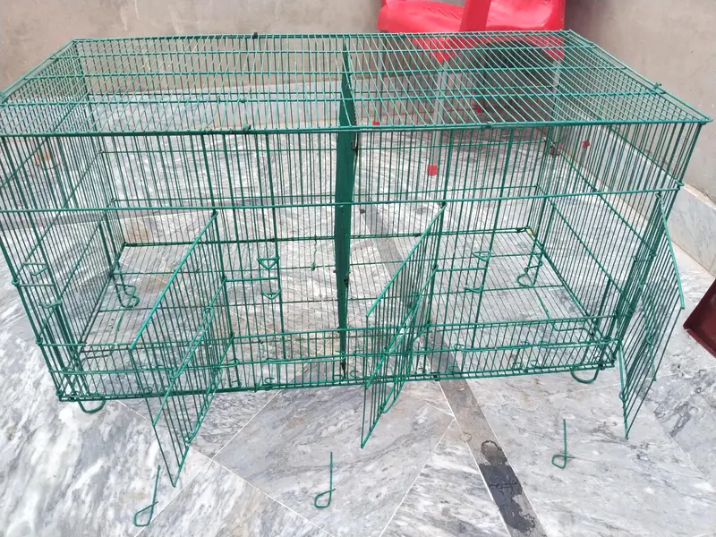 Birds Cage — photo 2