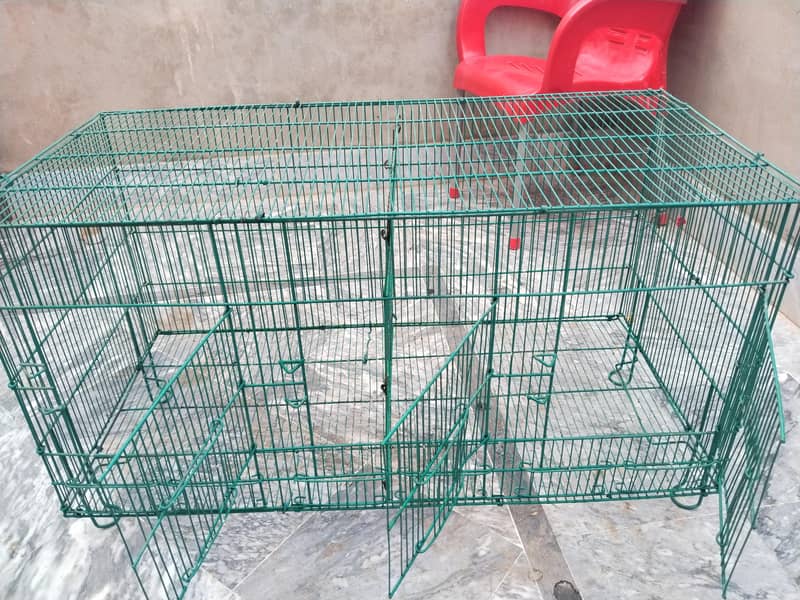 Birds Cage 2