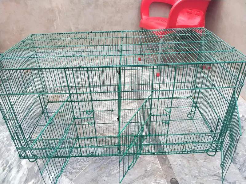 Birds Cage — photo 3