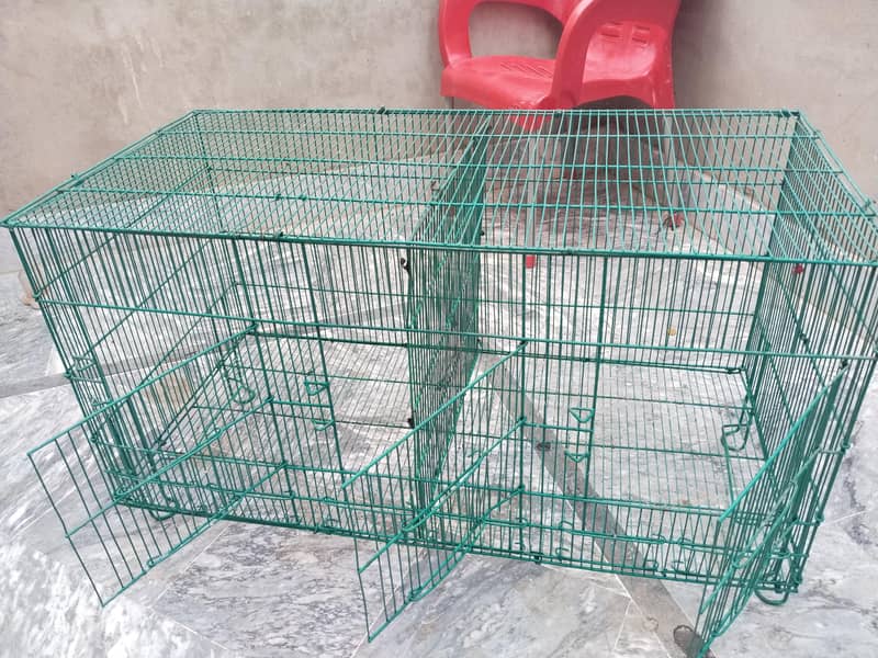 Birds Cage 3