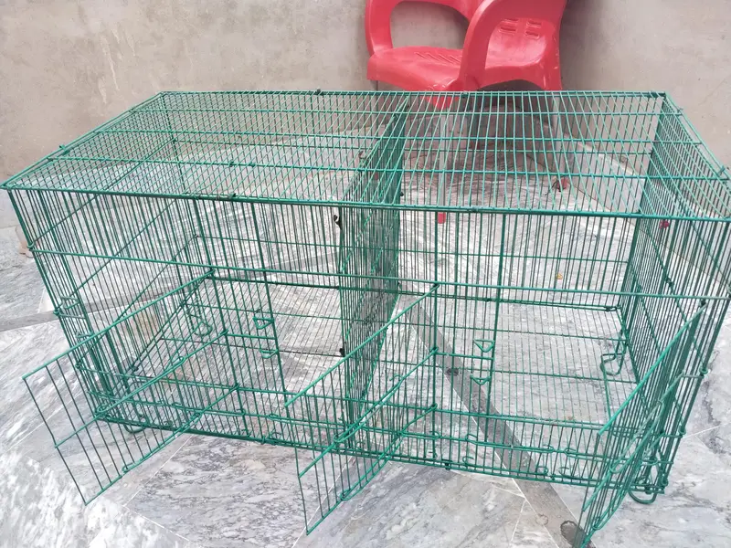 Birds Cage — photo 4