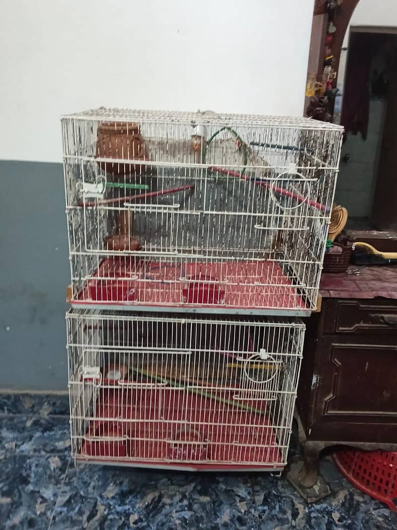 Bird cage 2 floor 1