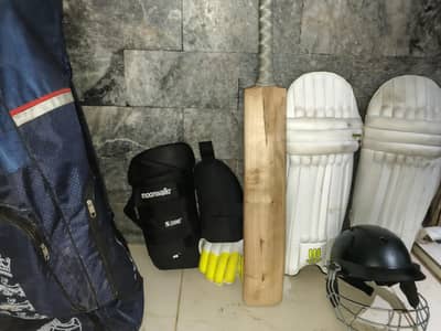 cricket kitt