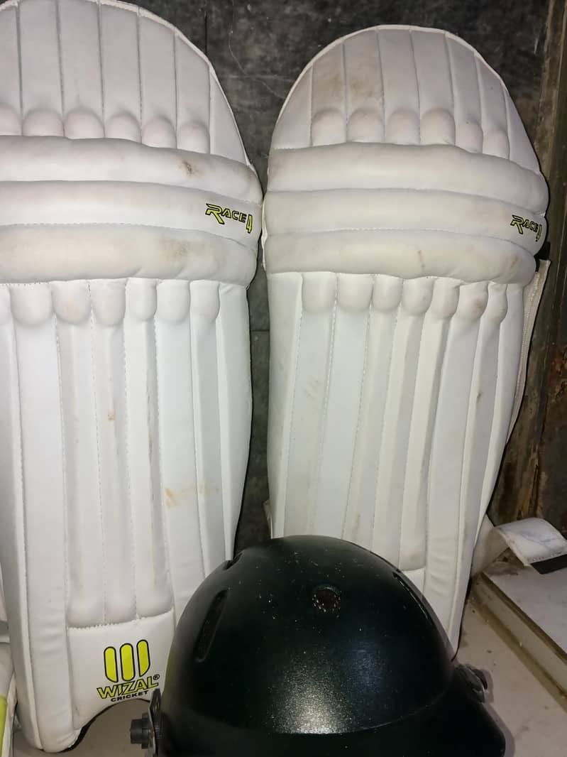 cricket kitt 3