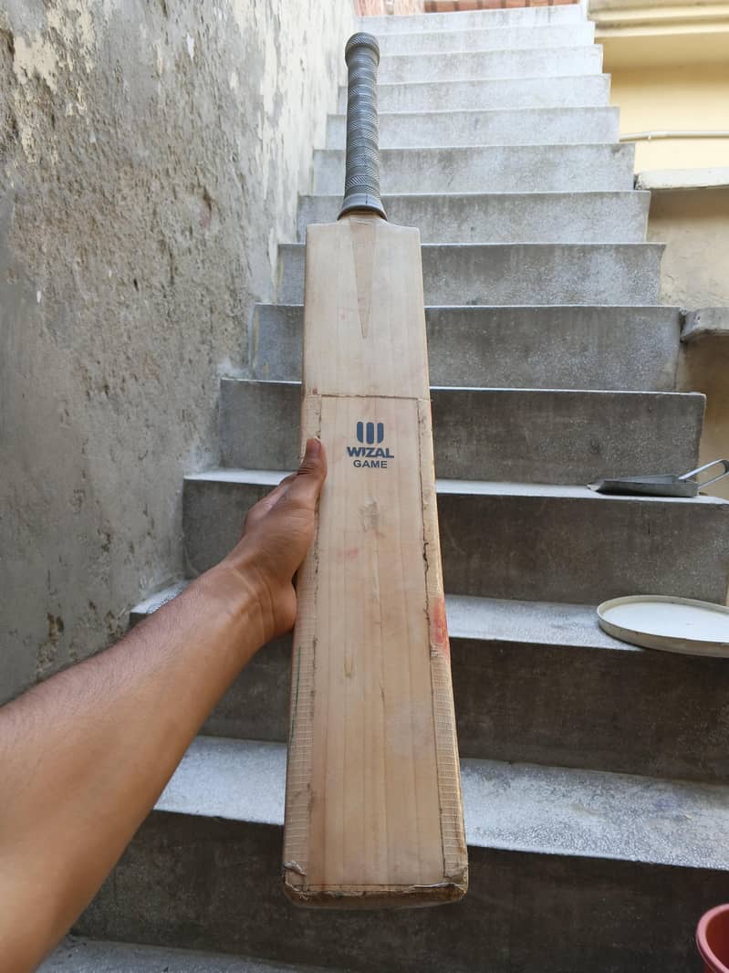 cricket kitt 5