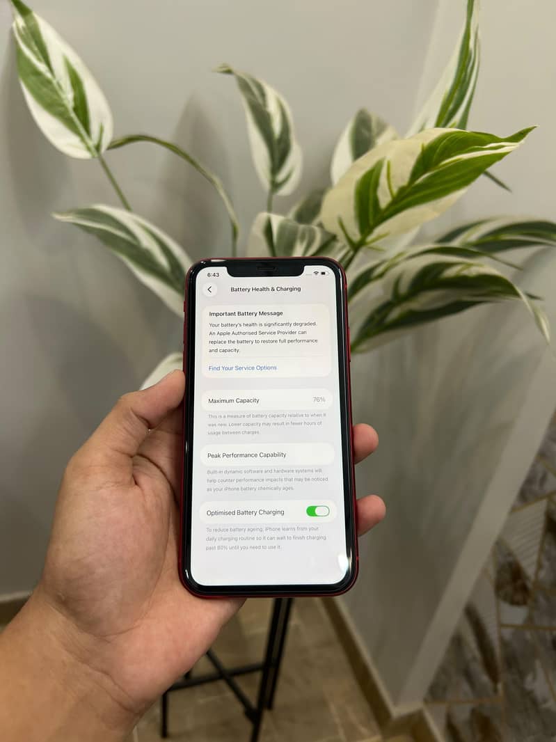 Apple iPhone 11 2