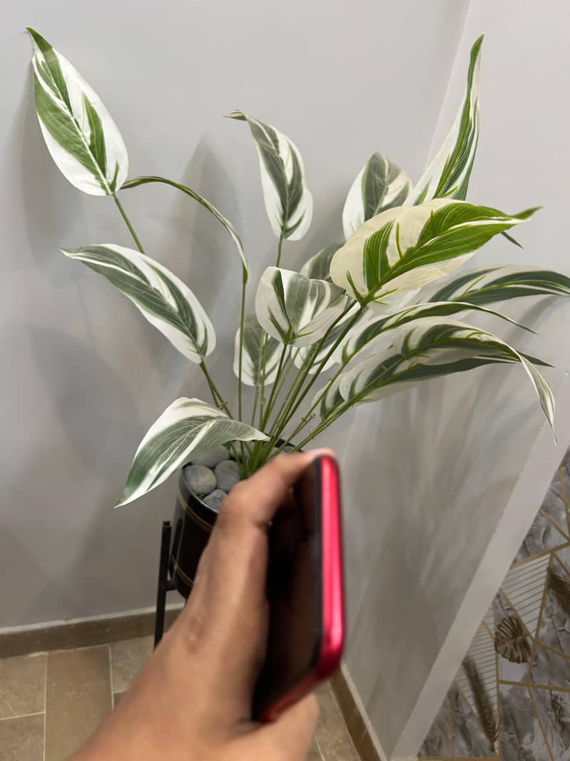 Apple iPhone 11 3