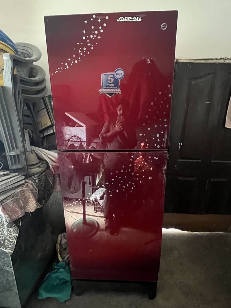 PEL REFIGERATOR DOUBLE XL 1