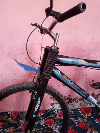 original bicycle all okay