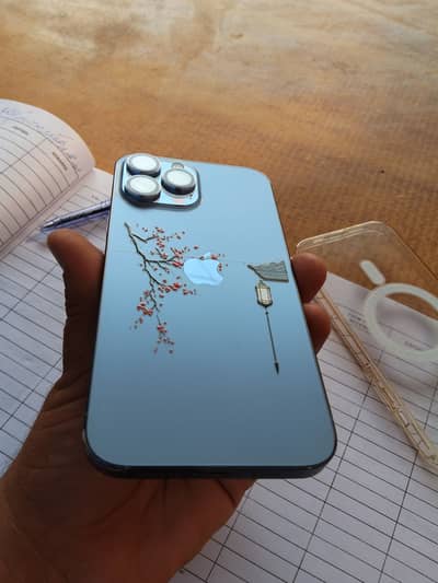 Apple iPhone 13 Pro Max GENUINE SET NON PTA 128 GB WATER PACK