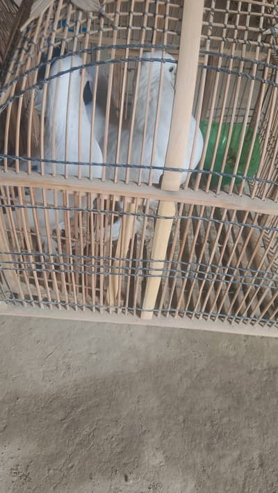 شیرازی لکا