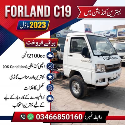 FORLAND C19