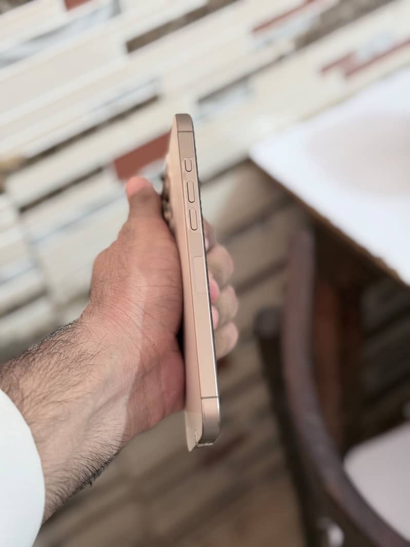 Apple iPhone 16 Pro Max 1