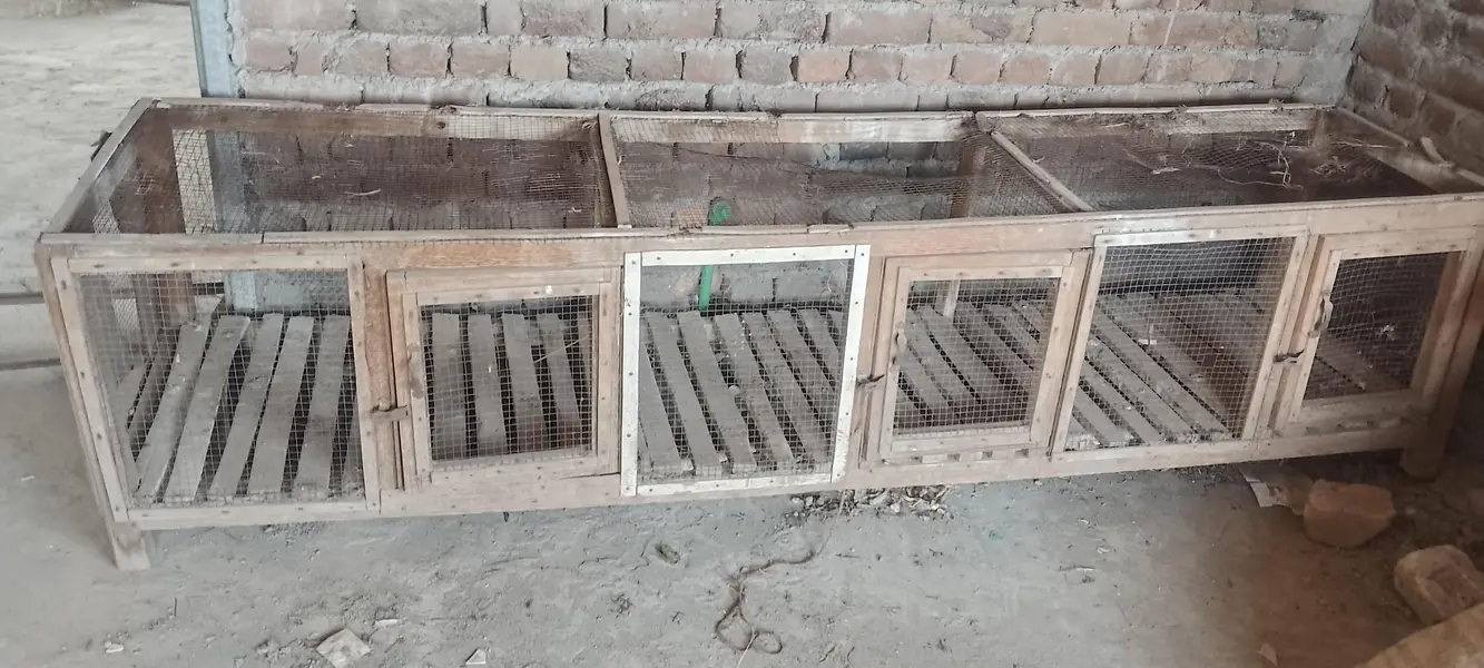 pinjara  for sale — photo 2