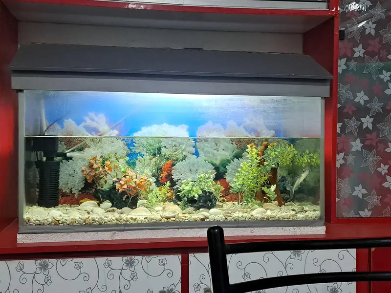 Aquarium — photo 2