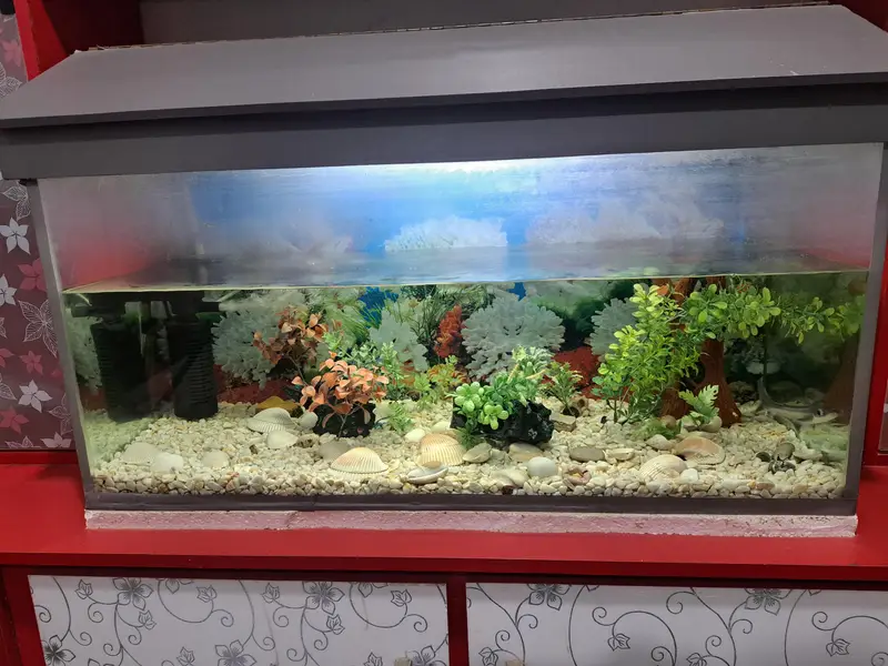 Aquarium — photo 8