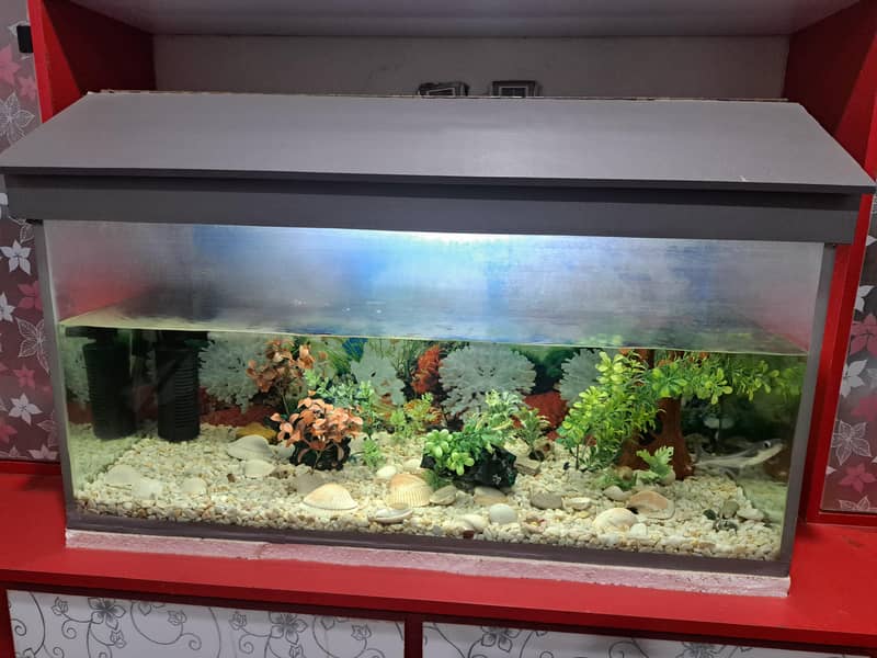 Aquarium 8