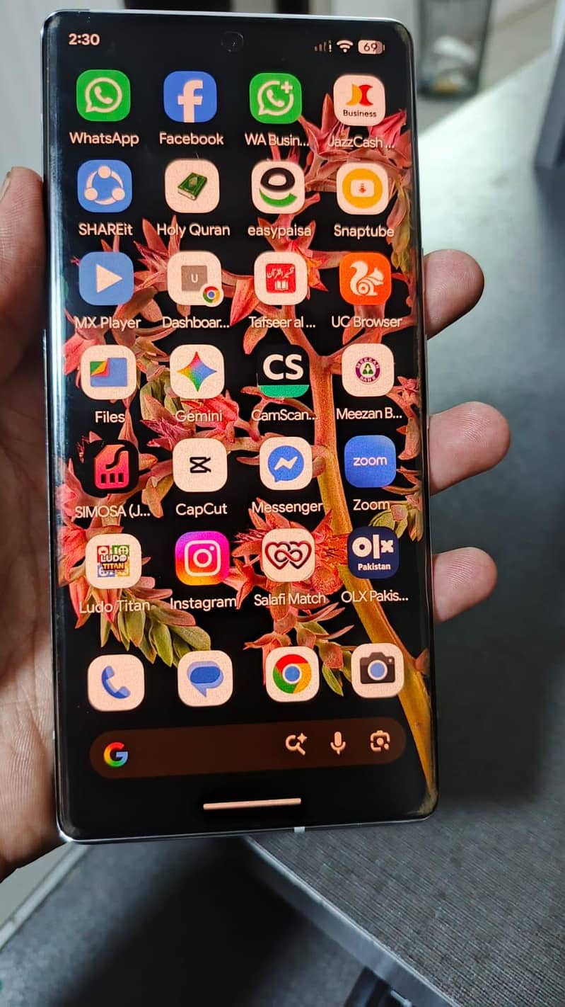 Google Pixel 6 Pro 1