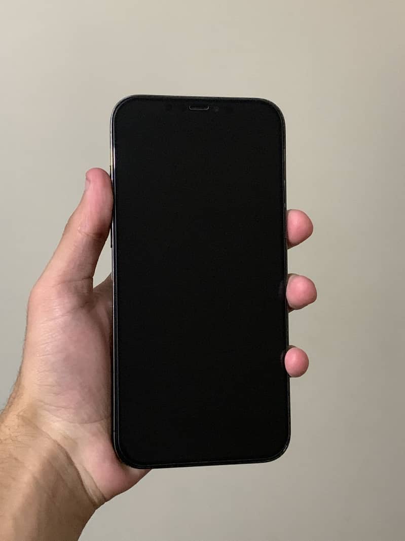 iPhone 12 Pro Max 3