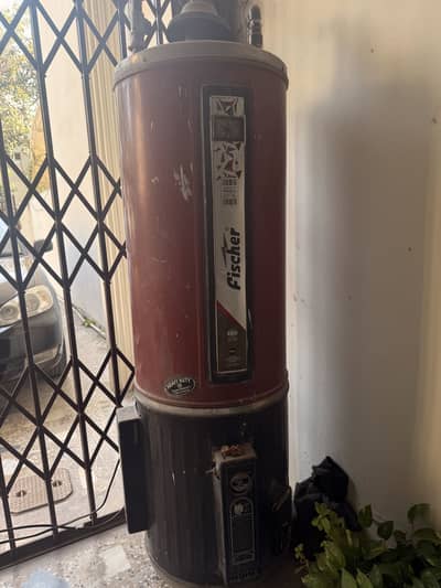 Fischer geyser dual 55 gallon