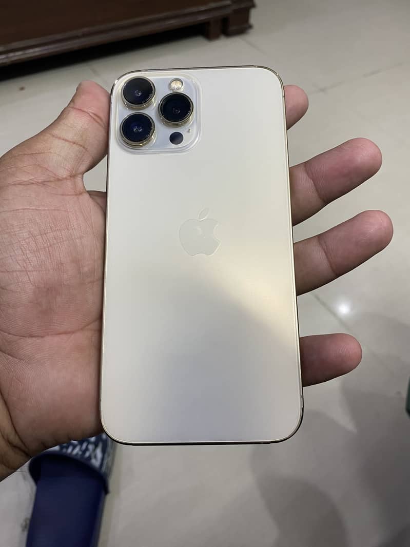 Apple iPhone 13 Pro Max 1