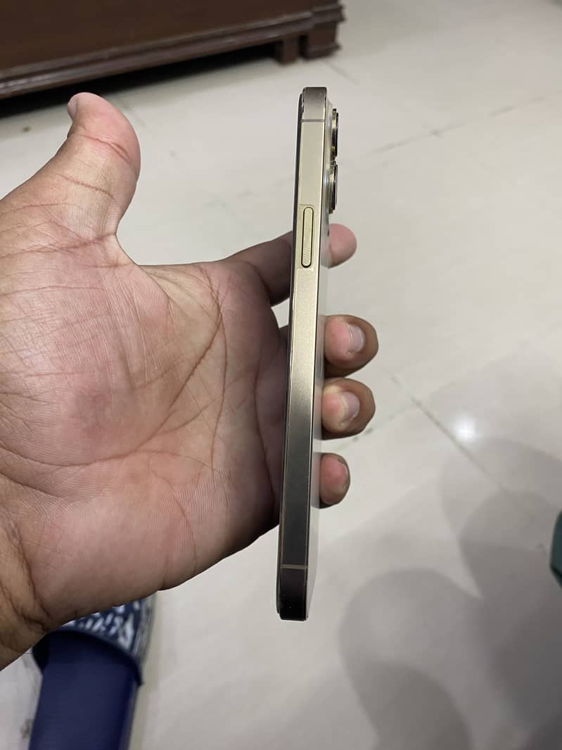 Apple iPhone 13 Pro Max 3