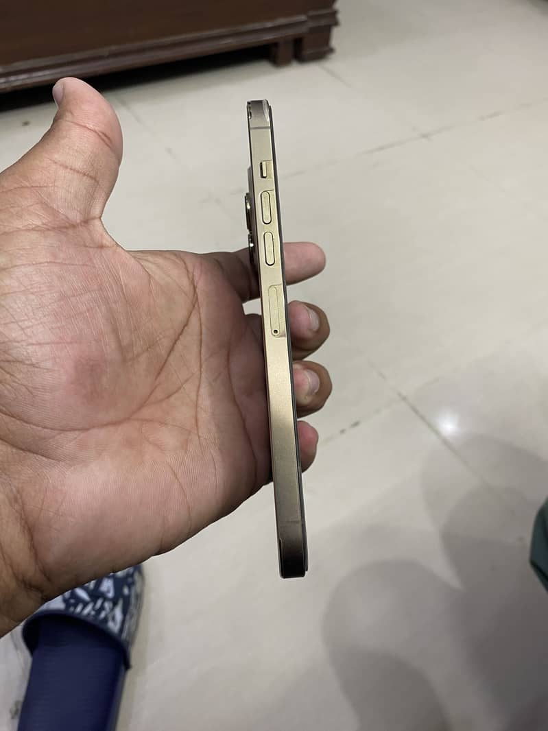 Apple iPhone 13 Pro Max 4