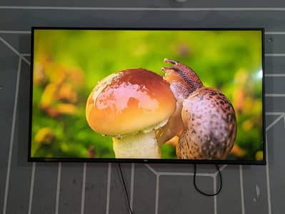 4K UHD Smart Android TV Perf condition vid no dot line crystal disp