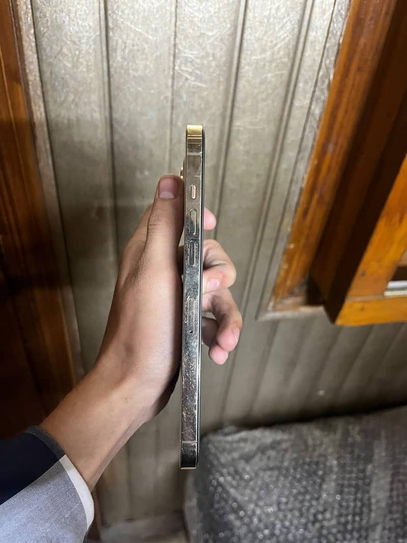 Apple iPhone 12 Pro Max 1